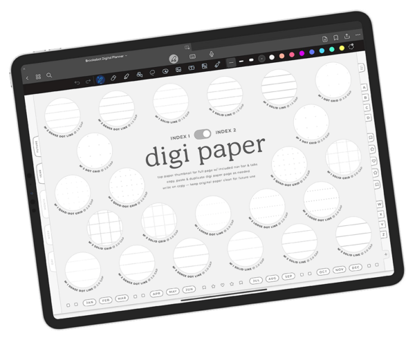 Jan 2024 Dec 2024 Digi Paper Index 02 Digital Planner iPad Goodnotes Calendar