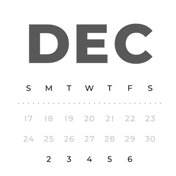 Jan 2024 Dec 2024 Zoom Monthly Calendar Sunday Digital Planner iPad Goodnotes Calendar