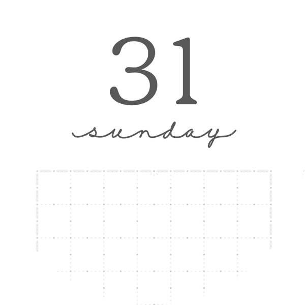 Jan 2024 Dec 2024 Zoom Weekly Sunday Digital Planner iPad Goodnotes Calendar